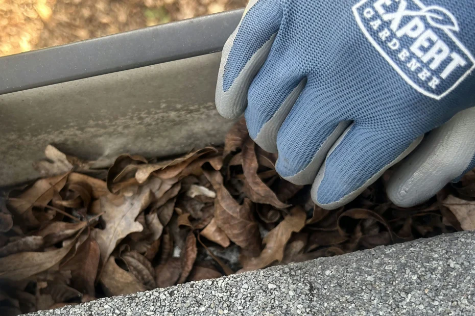 Gutter Cleaning Fair Oaks Ranch TX